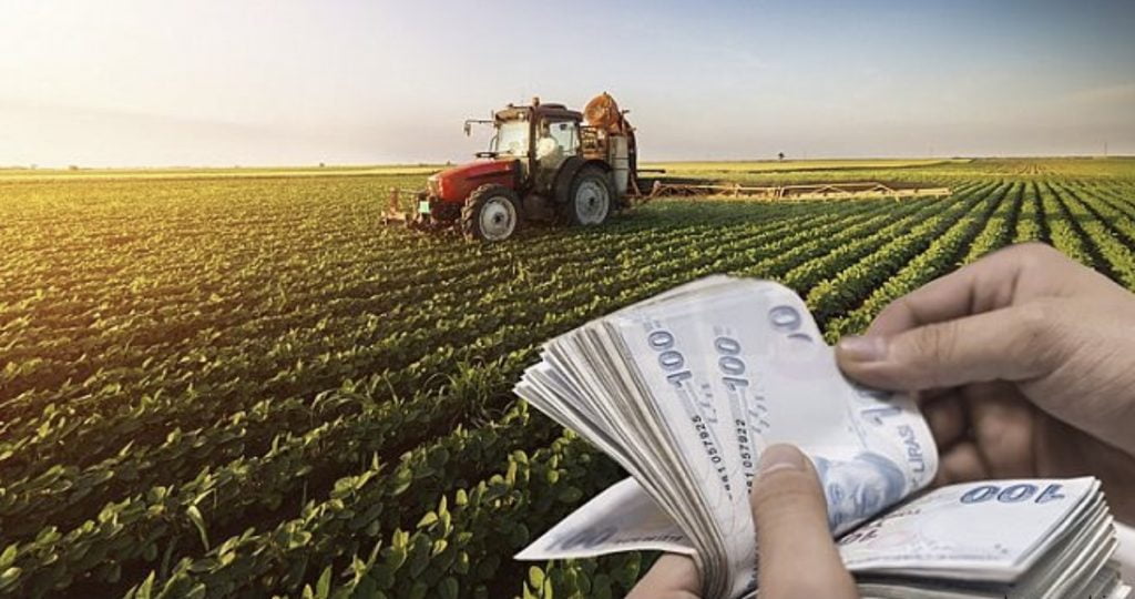 Küresel gıda fiyatları Temmuz’da düştü