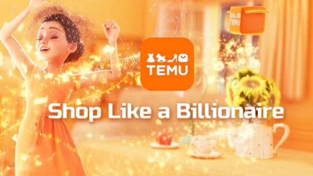 Temu’nun AB bilançosu şaşırttı