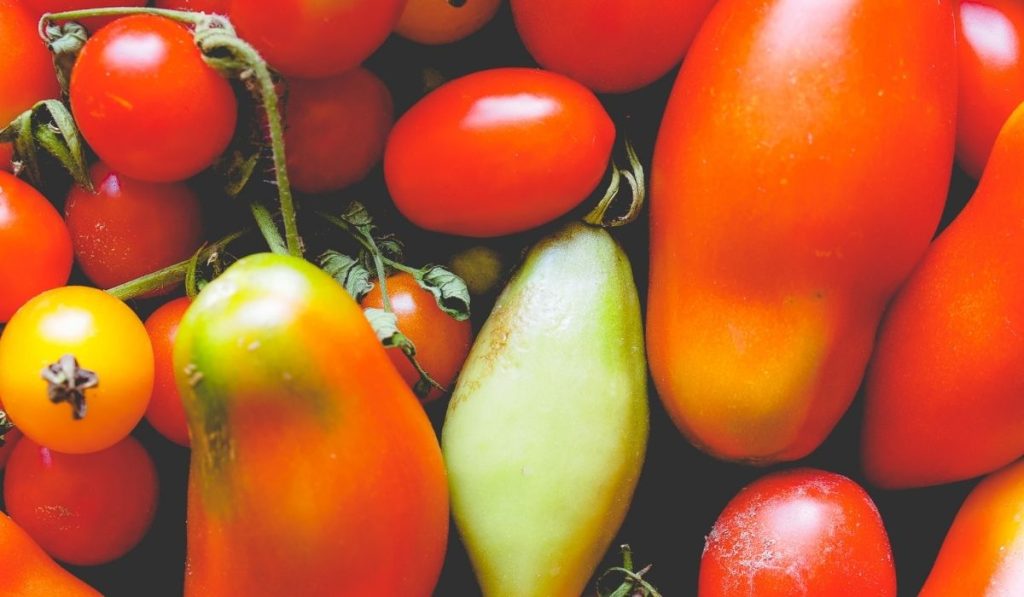 Sicilya domatesinden zehirlendiler: Salmonella bakterisi!